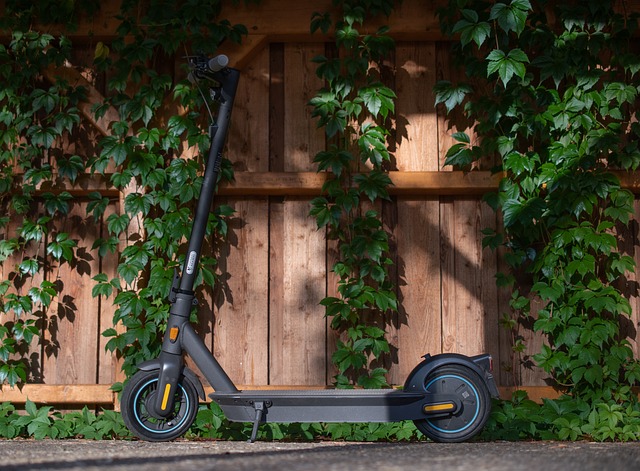 Meccanico monopattino elettrico Xiaomi